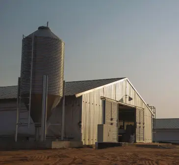 Barn and Silo